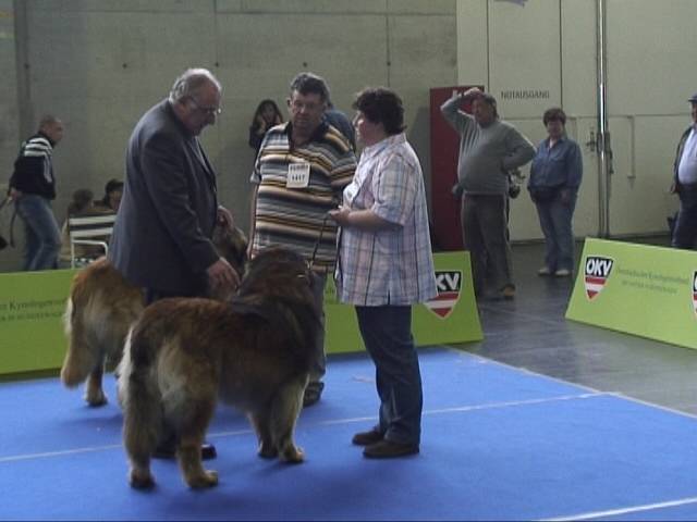 Salzburg Clubschau Mai 06 110 